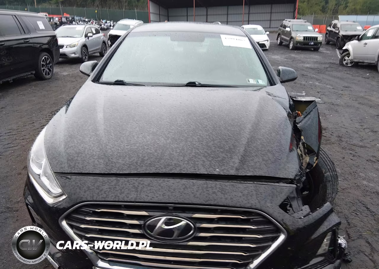 2019 Hyundai Sonata Se VIN:5NPE24AF6KH819577 - 12