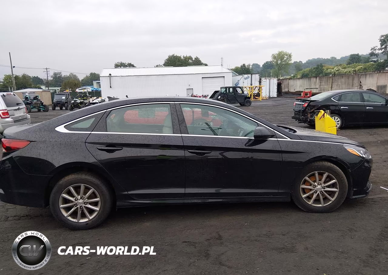 2019 Hyundai Sonata Se VIN:5NPE24AF6KH819577 - 13