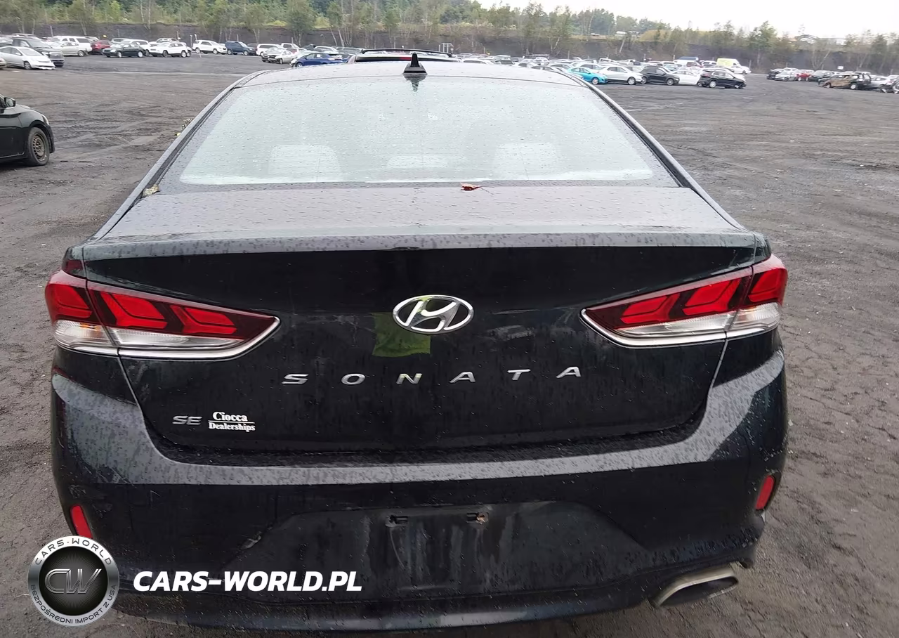 2019 Hyundai Sonata Se VIN:5NPE24AF6KH819577 - 16