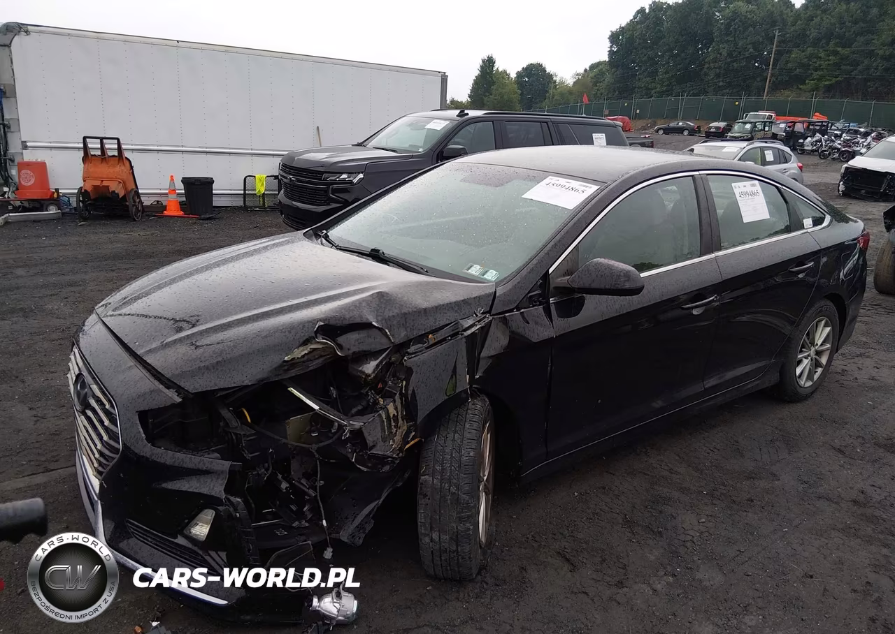 2019 Hyundai Sonata Se VIN:5NPE24AF6KH819577 - 2
