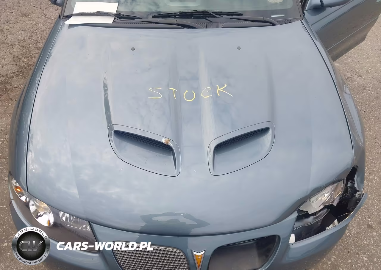2006 Pontiac Gto VIN:6G2VX12U46L516206 - 10