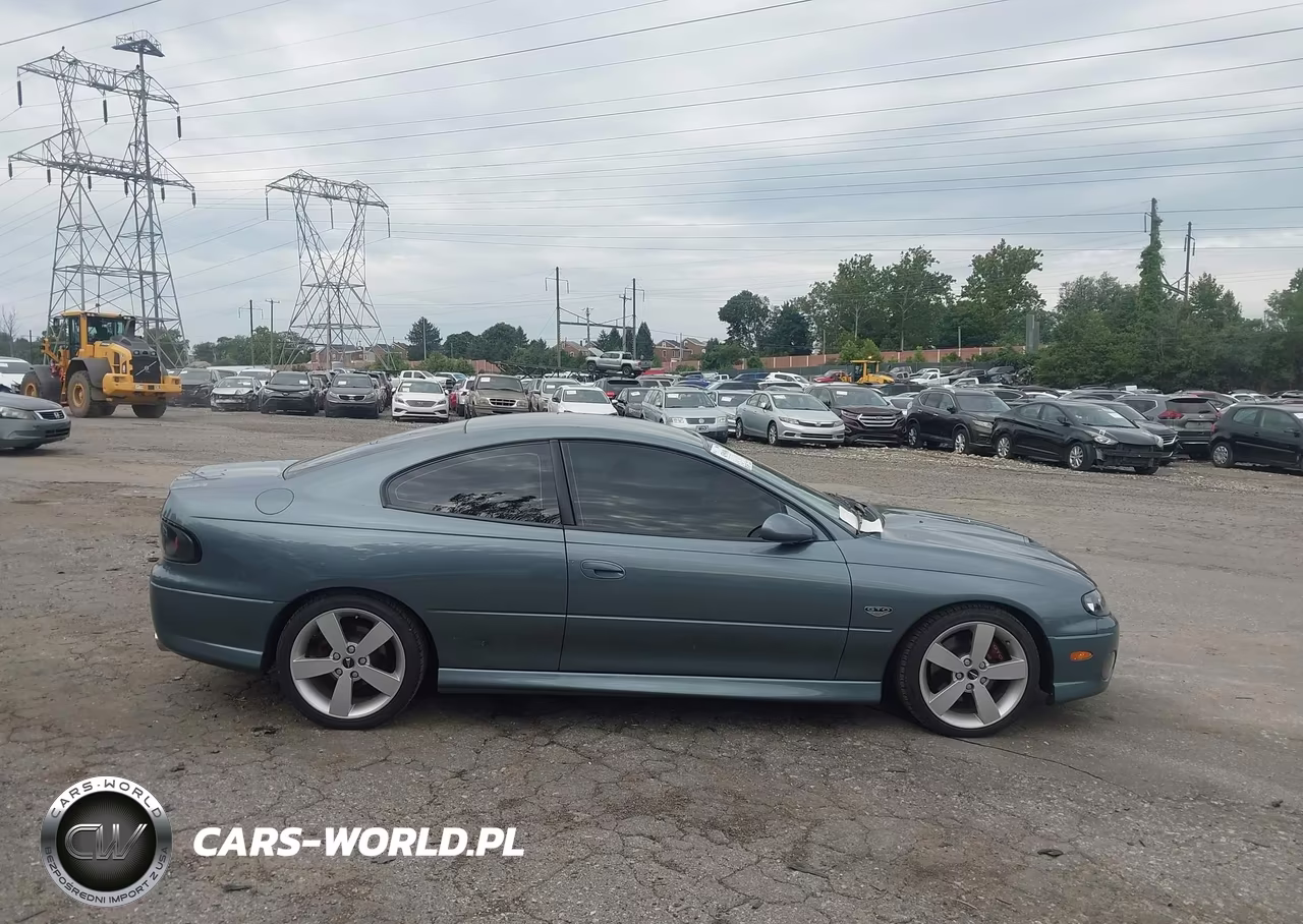 2006 Pontiac Gto VIN:6G2VX12U46L516206 - 13