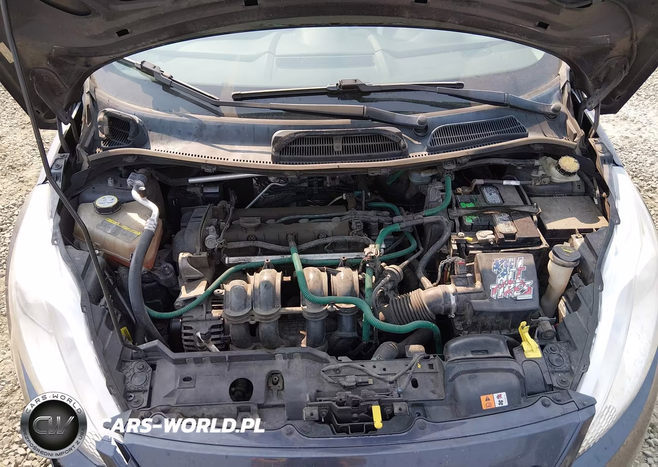 2013 Ford Fiesta Se VIN:3FADP4EJ5DM195639 - 10