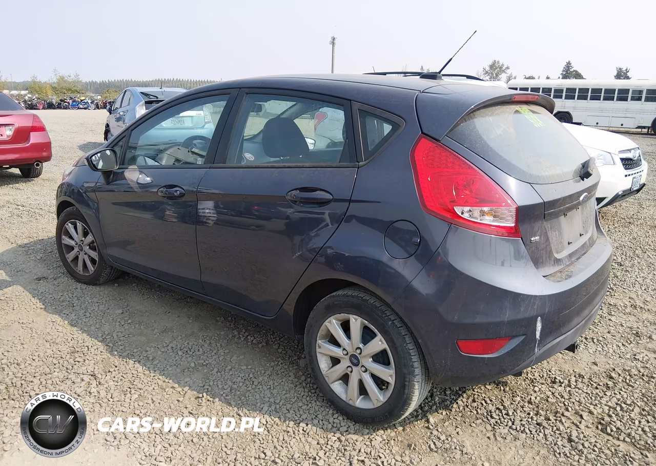 2013 Ford Fiesta Se VIN:3FADP4EJ5DM195639 - 3