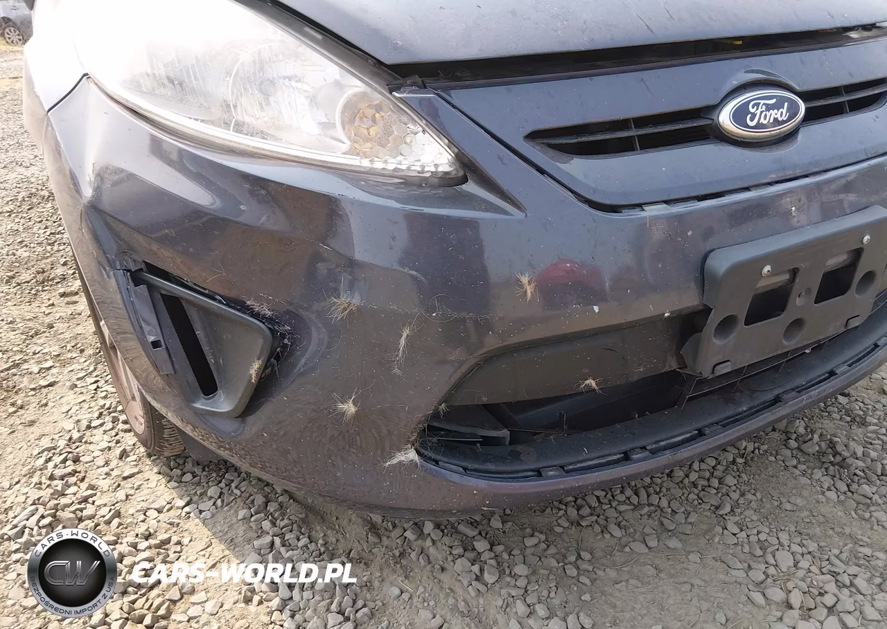 2013 Ford Fiesta Se VIN:3FADP4EJ5DM195639 - 6