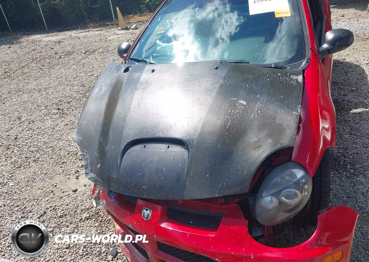2005 Dodge Srt4 VIN:1B3ES66SX5D247717 - 10