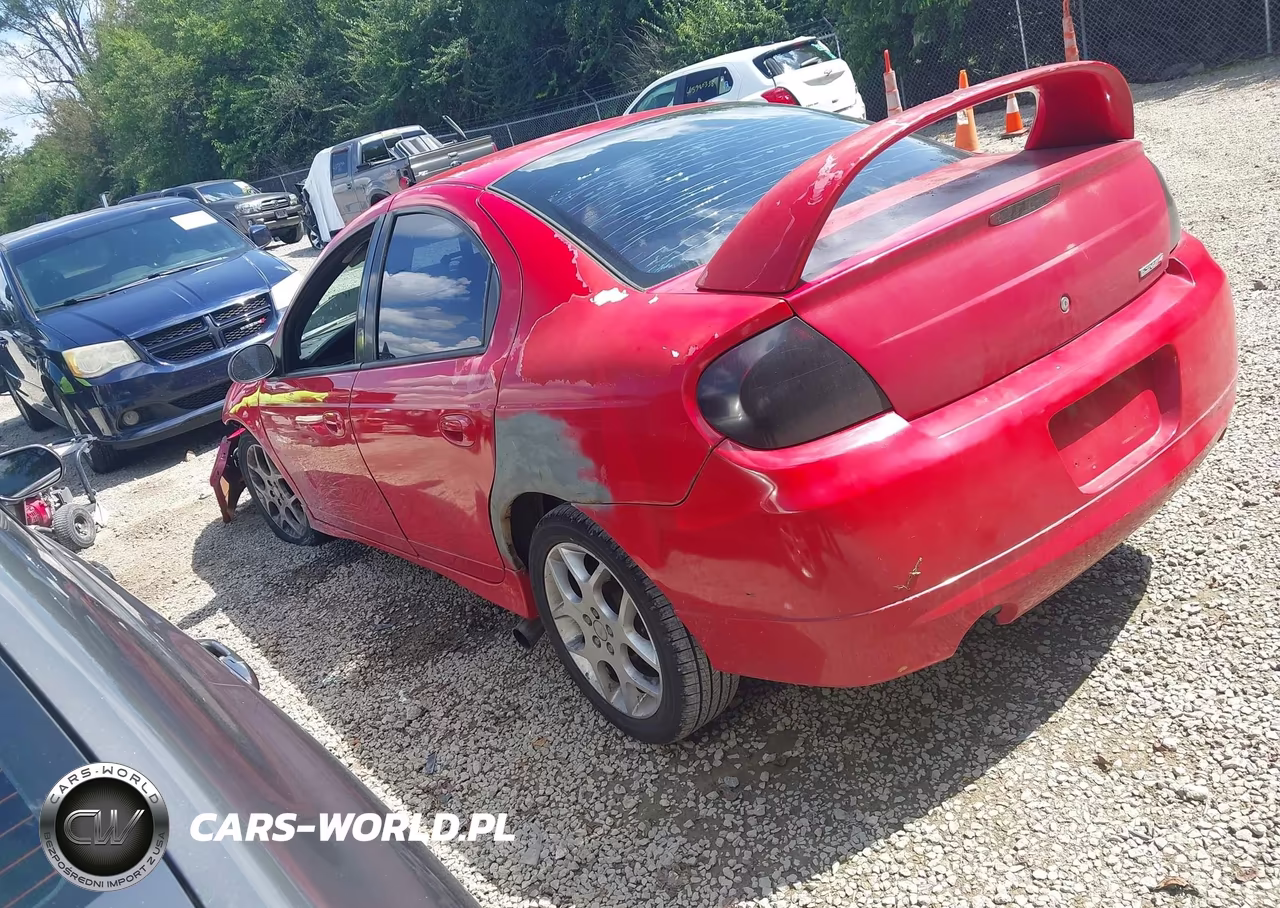 2005 Dodge Srt4 VIN:1B3ES66SX5D247717 - 3