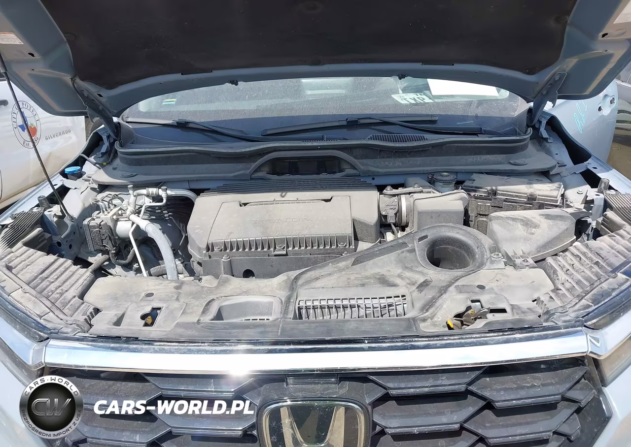 2024 Honda Pilot Touring VIN:5FNYG2H70RB007590 - 10