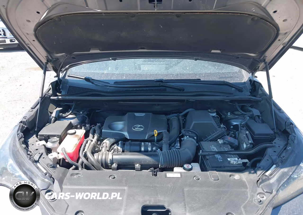 2021 Lexus Nx 300 F Sport VIN:JTJSARBZ7M2193583 - 10