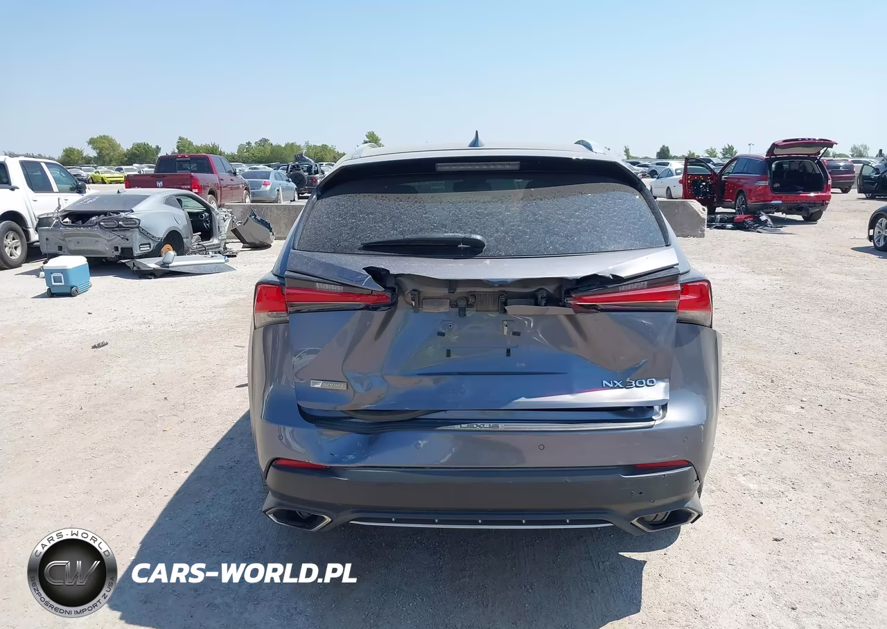 2021 Lexus Nx 300 F Sport VIN:JTJSARBZ7M2193583 - 16