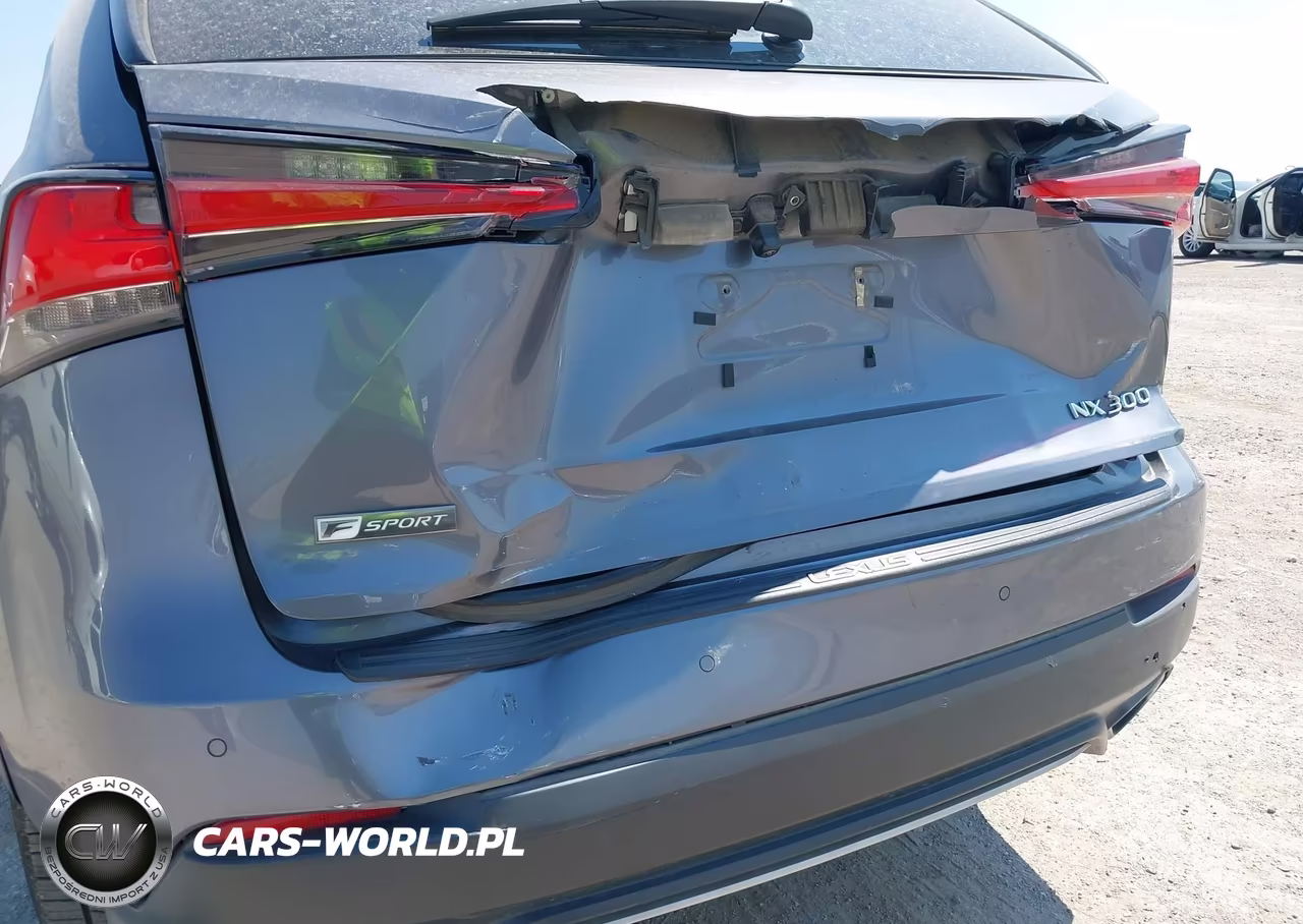 2021 Lexus Nx 300 F Sport VIN:JTJSARBZ7M2193583 - 19