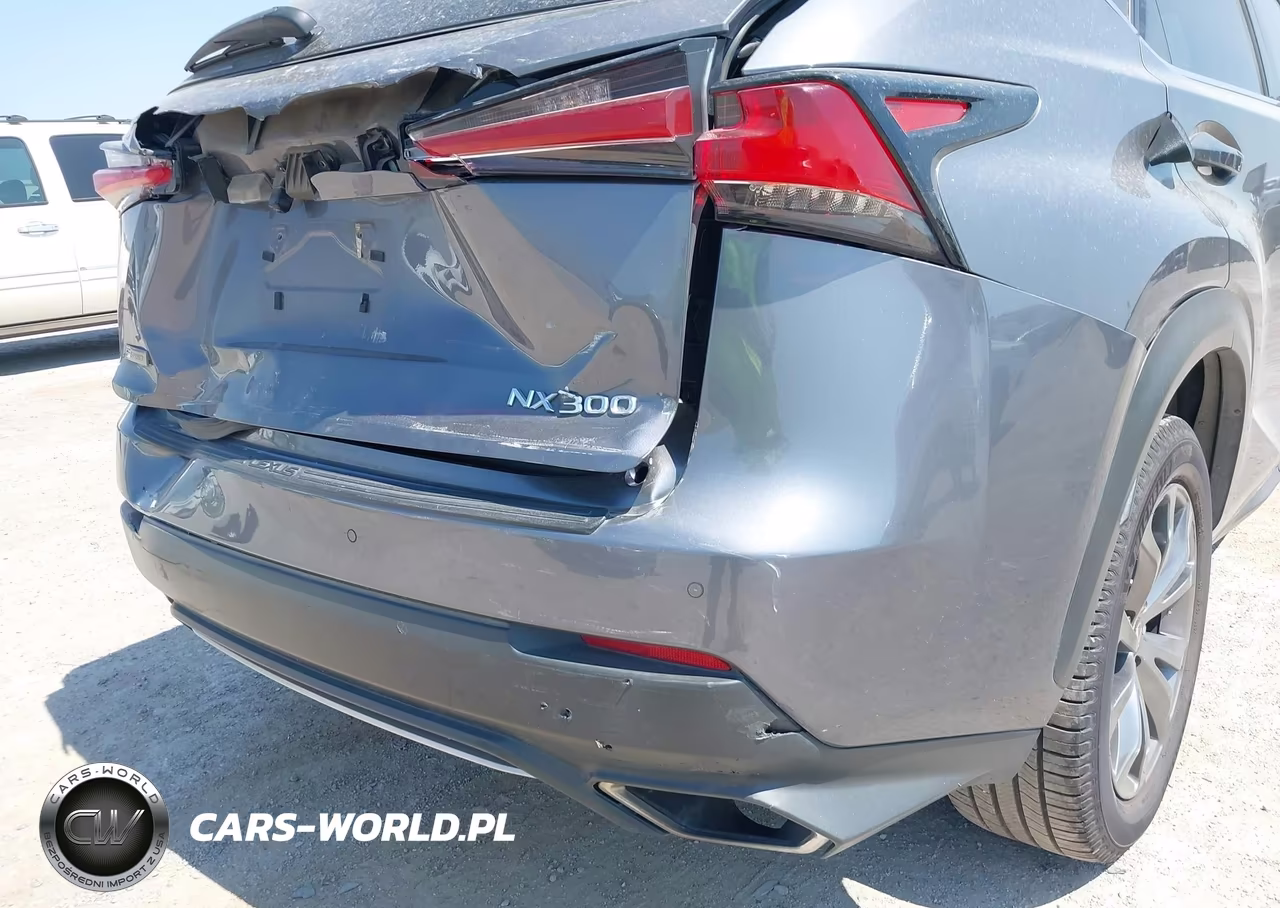 2021 Lexus Nx 300 F Sport VIN:JTJSARBZ7M2193583 - 20