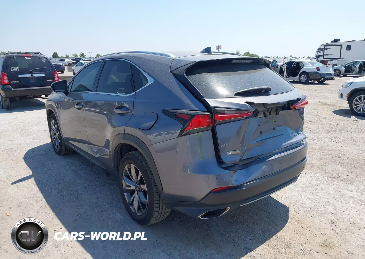 2021 Lexus Nx 300 F Sport VIN:JTJSARBZ7M2193583 - 3
