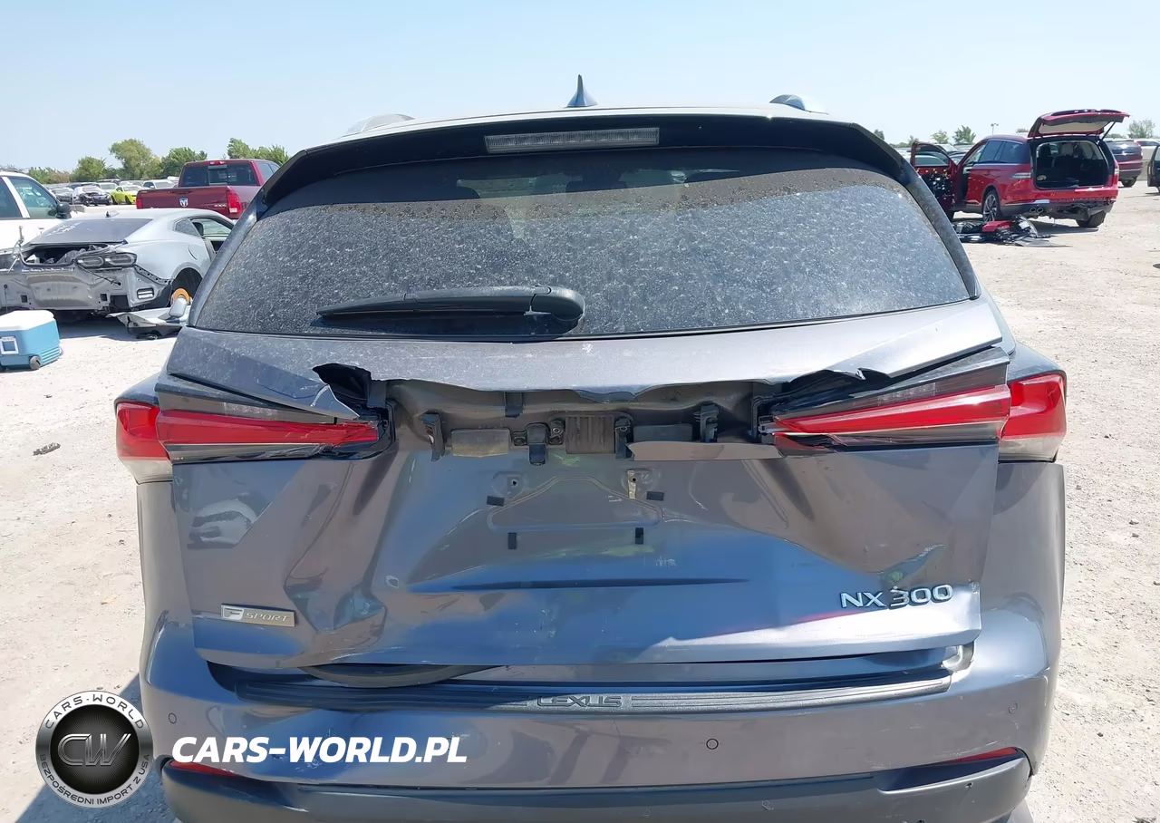 2021 Lexus Nx 300 F Sport VIN:JTJSARBZ7M2193583 - 6