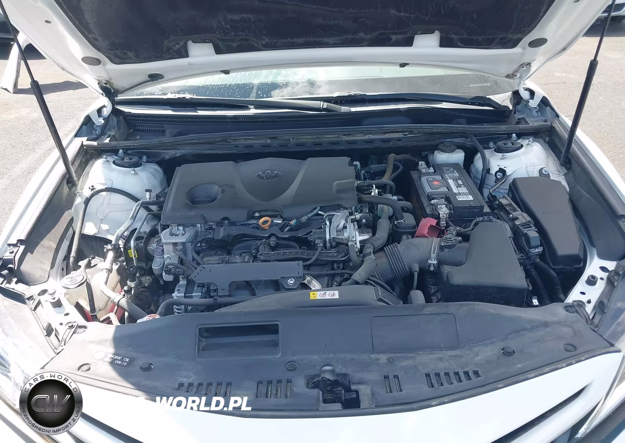 2019 Toyota Camry Se VIN:4T1B11HK2KU203254 - 10