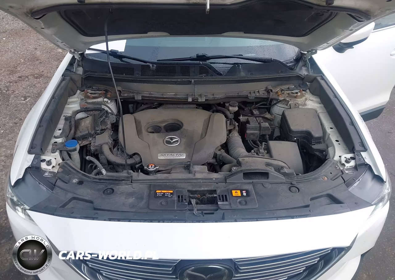 2019 Mazda Cx-9 Touring VIN:JM3TCBCY2K0300585 - 10