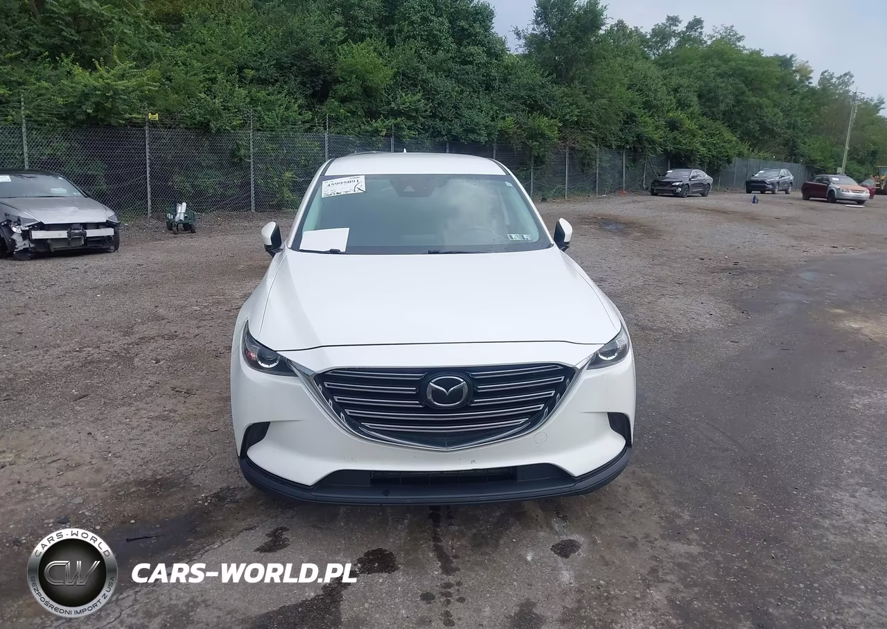 2019 Mazda Cx-9 Touring VIN:JM3TCBCY2K0300585 - 12