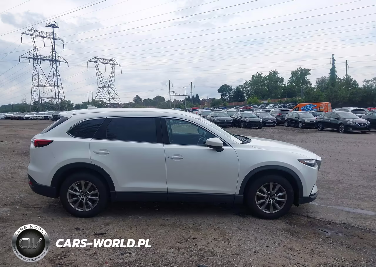 2019 Mazda Cx-9 Touring VIN:JM3TCBCY2K0300585 - 13
