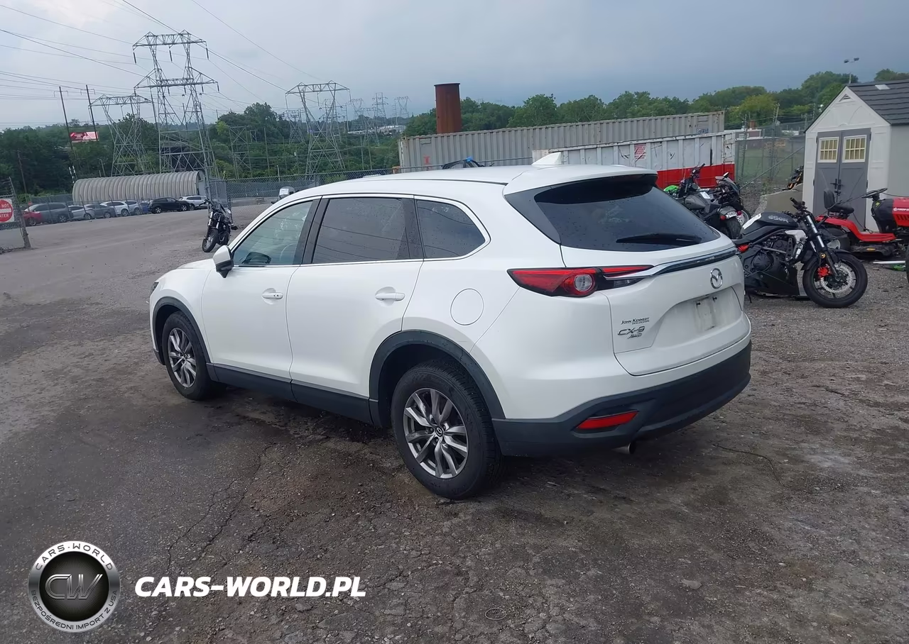2019 Mazda Cx-9 Touring VIN:JM3TCBCY2K0300585 - 3