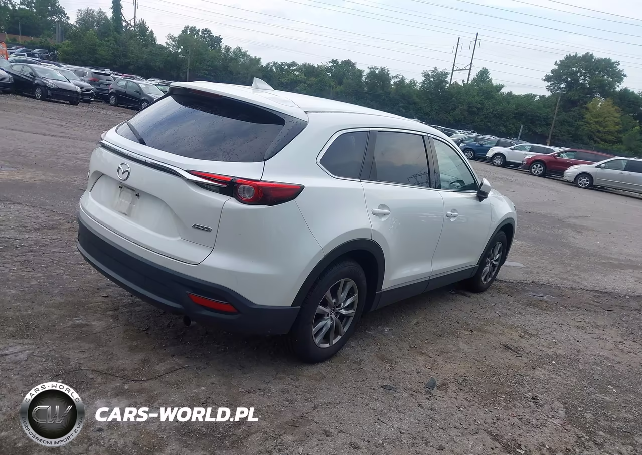 2019 Mazda Cx-9 Touring VIN:JM3TCBCY2K0300585 - 4