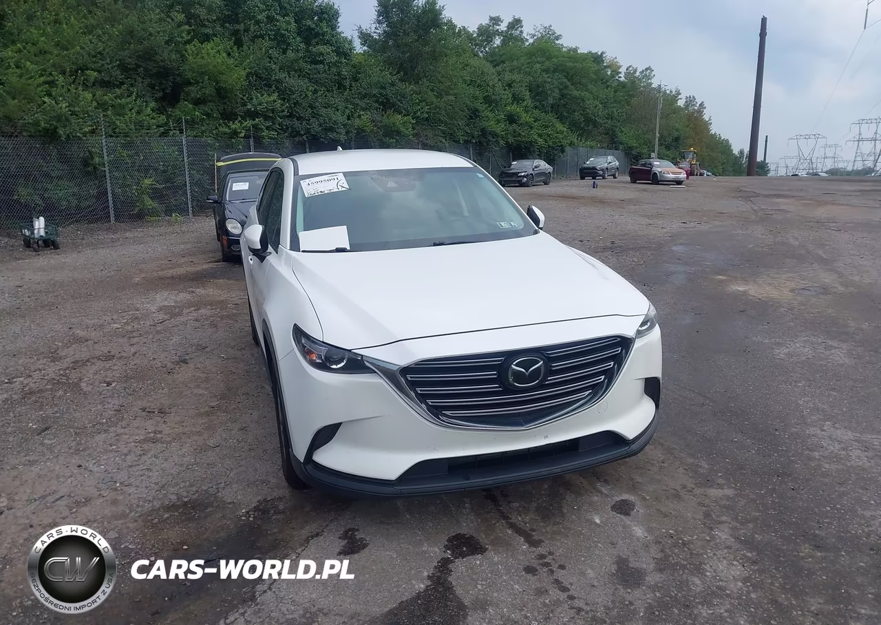 2019 Mazda Cx-9 Touring VIN:JM3TCBCY2K0300585 - 6