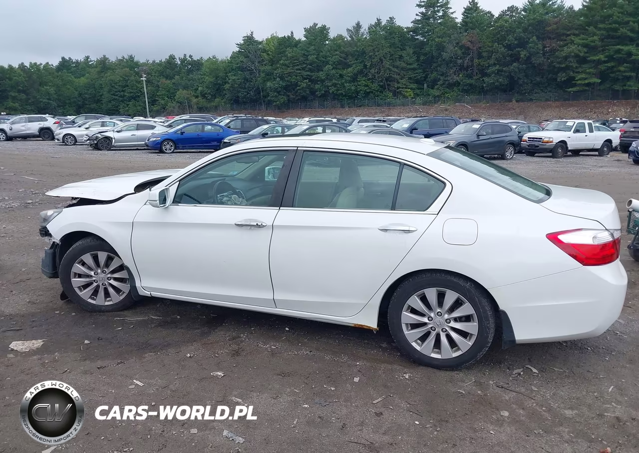 2015 Honda Accord Ex-L VIN:1HGCR2F83FA202802 - 13