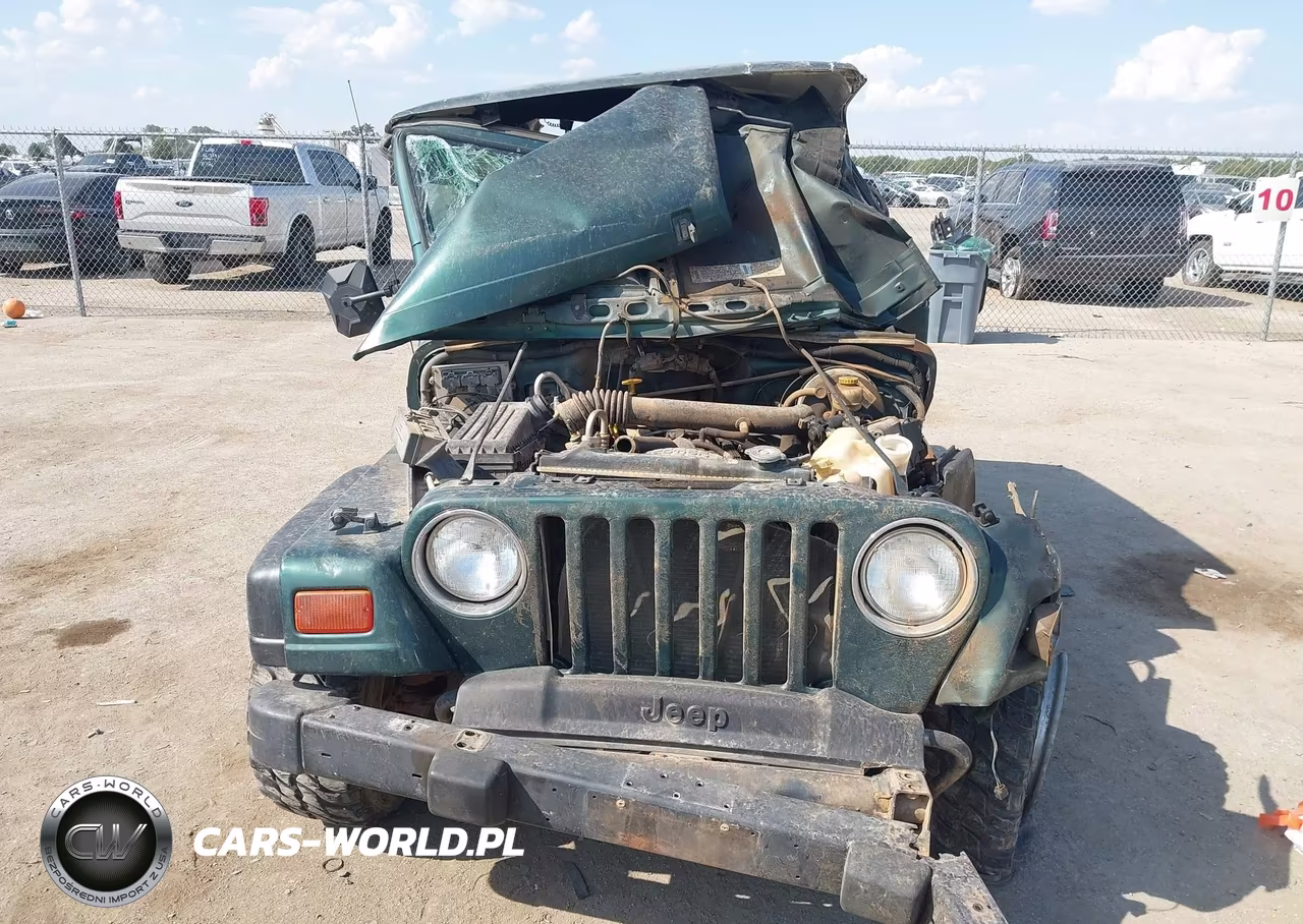1999 Jeep Wrangler Sport VIN:1J4FY19S0XP456198 - 11