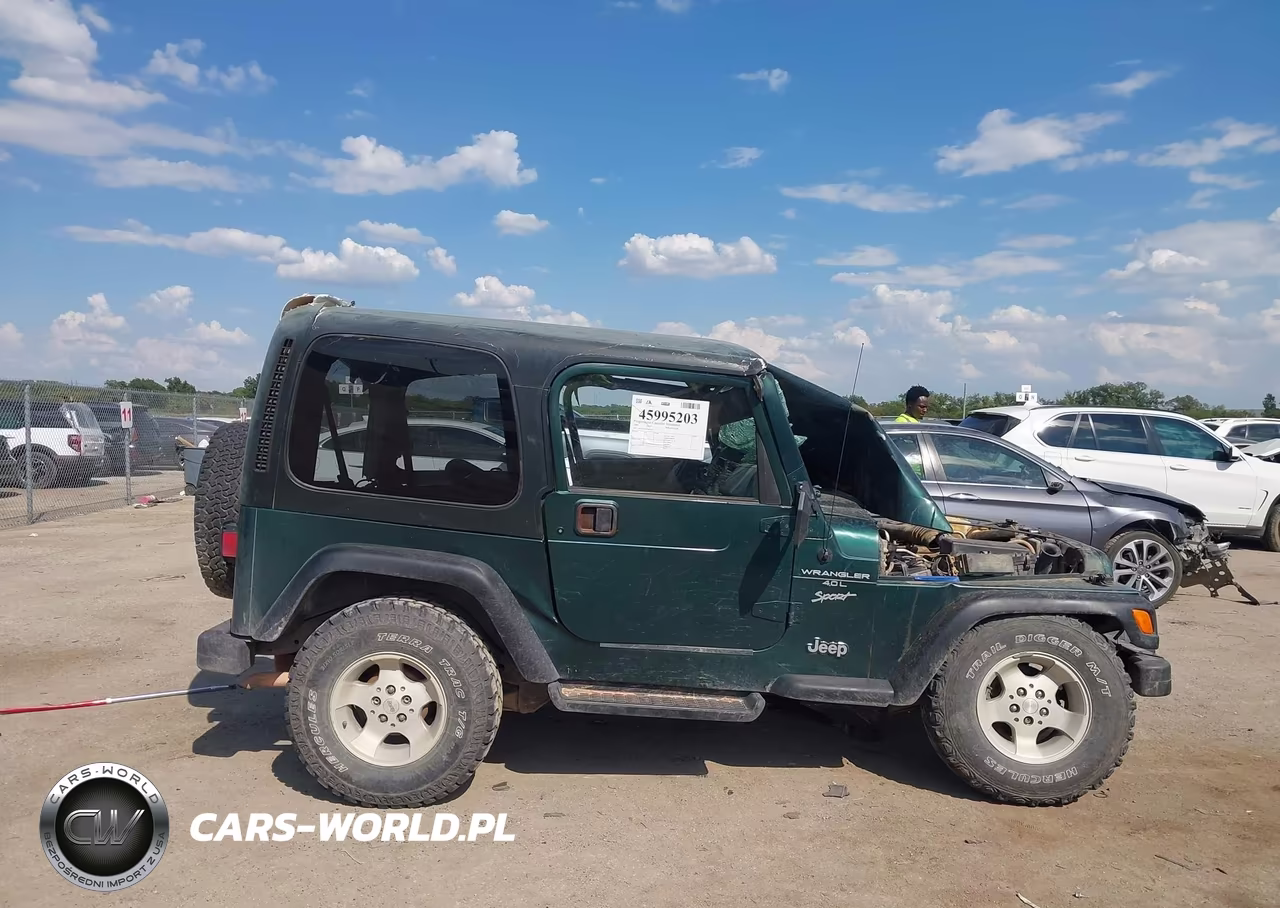 1999 Jeep Wrangler Sport VIN:1J4FY19S0XP456198 - 12