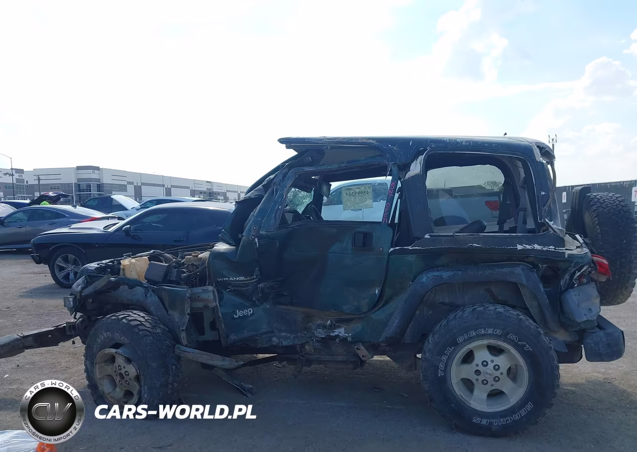 1999 Jeep Wrangler Sport VIN:1J4FY19S0XP456198 - 13