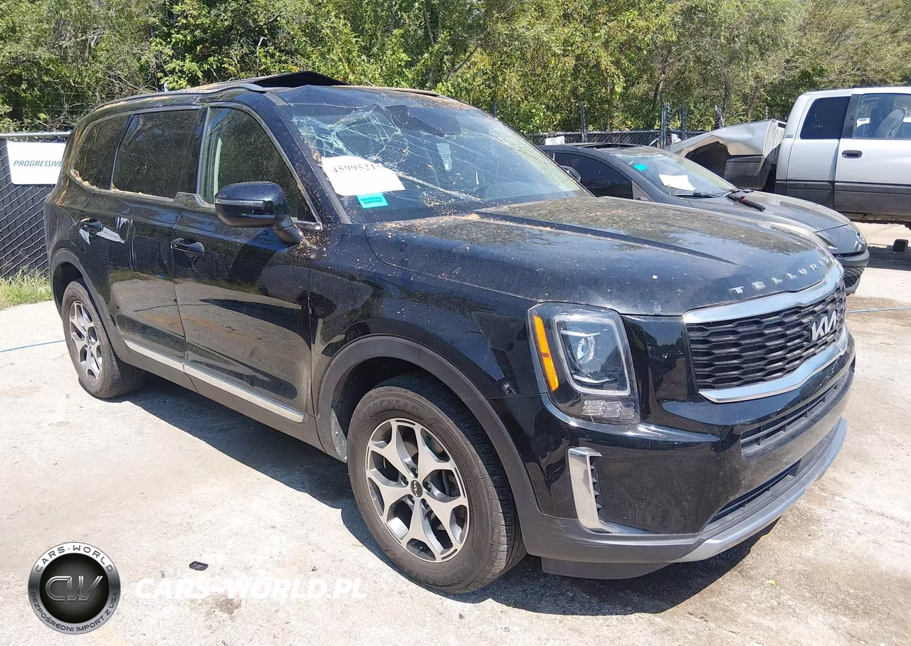 2022 Kia Telluride Ex VIN:5XYP34HC7NG252101 - 1