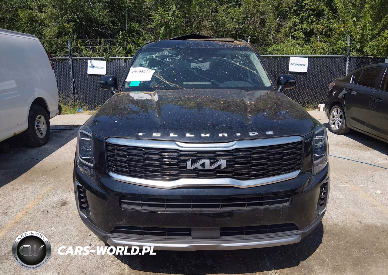 2022 Kia Telluride Ex VIN:5XYP34HC7NG252101 - 12
