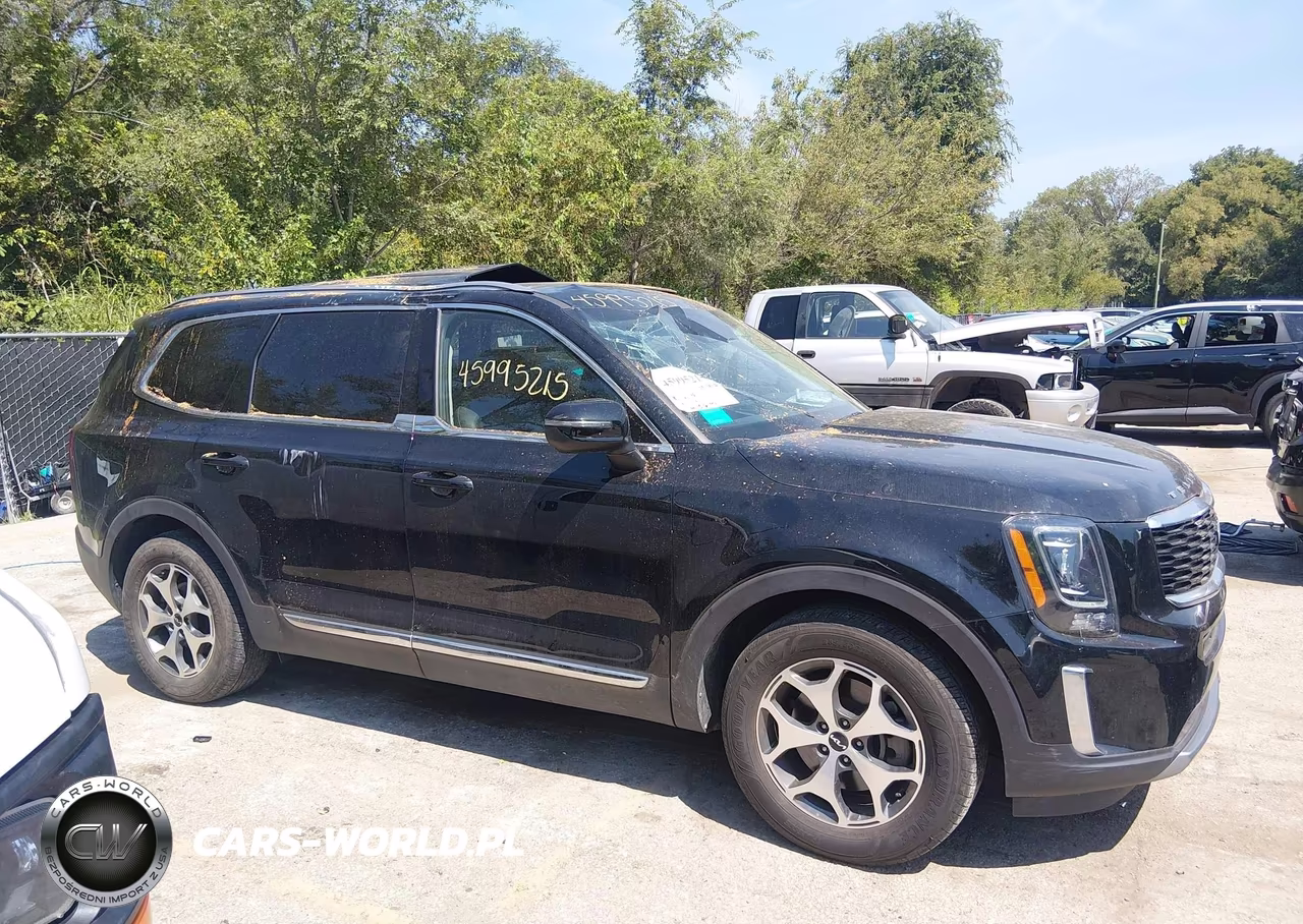 2022 Kia Telluride Ex VIN:5XYP34HC7NG252101 - 13