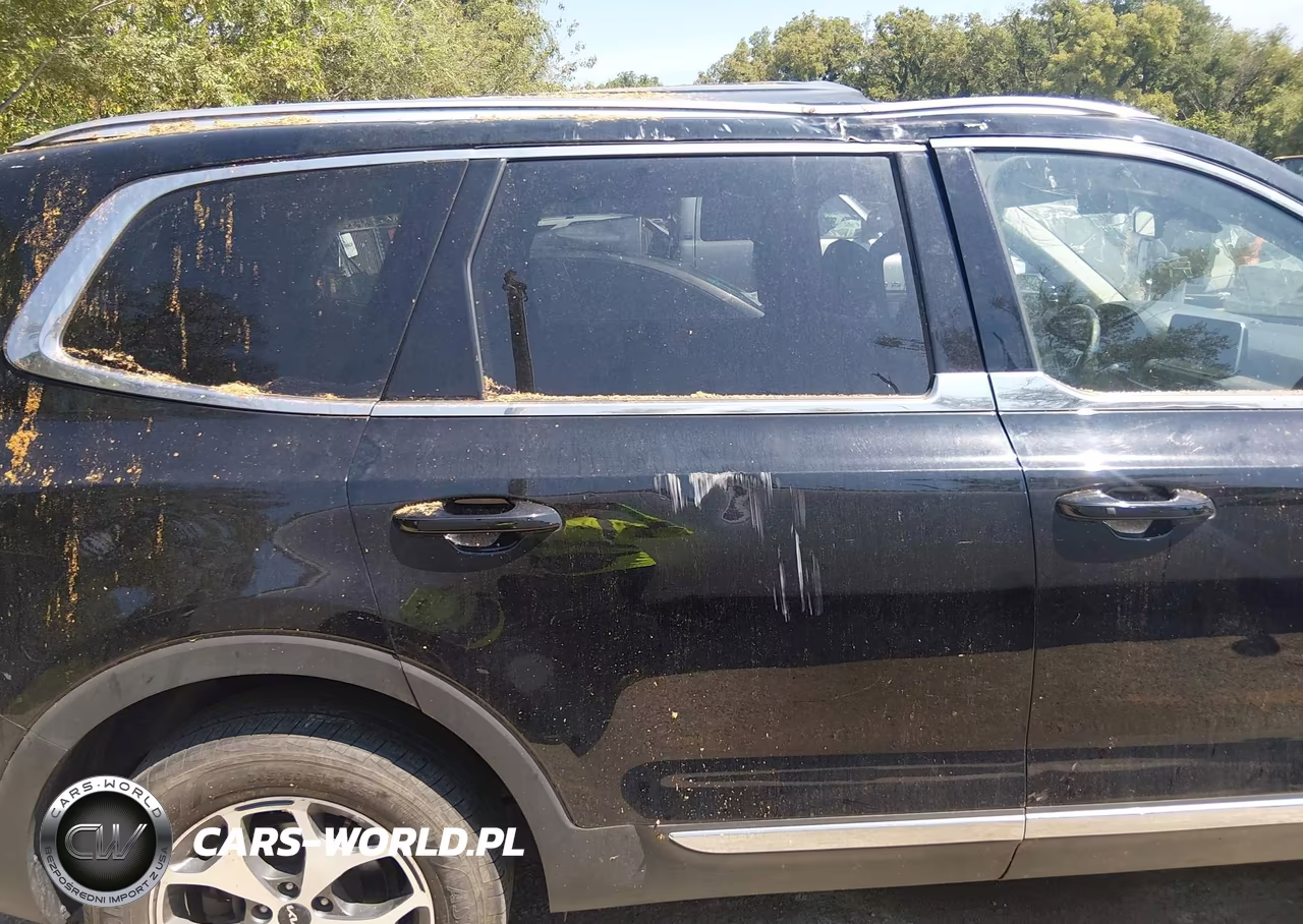 2022 Kia Telluride Ex VIN:5XYP34HC7NG252101 - 18