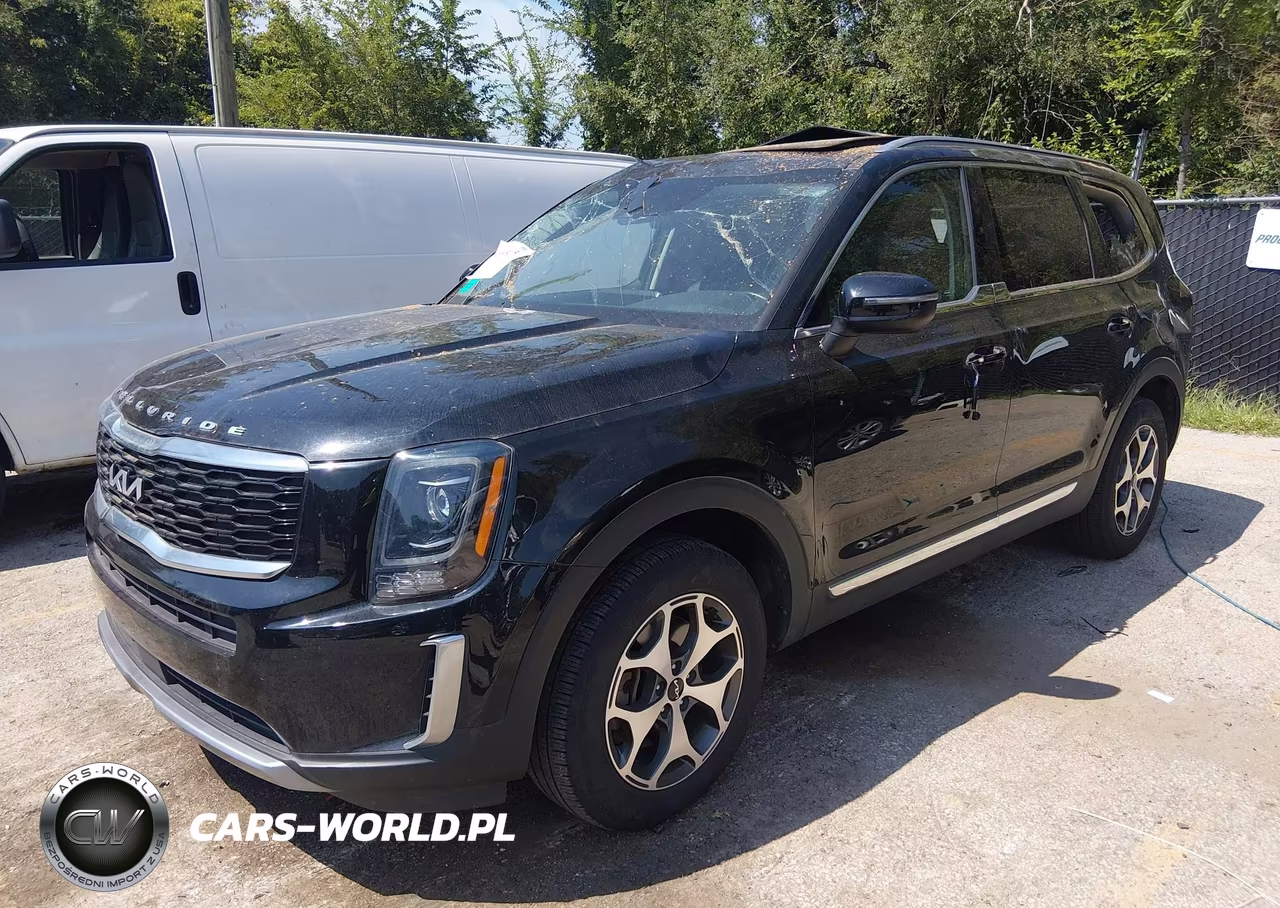 2022 Kia Telluride Ex VIN:5XYP34HC7NG252101 - 2