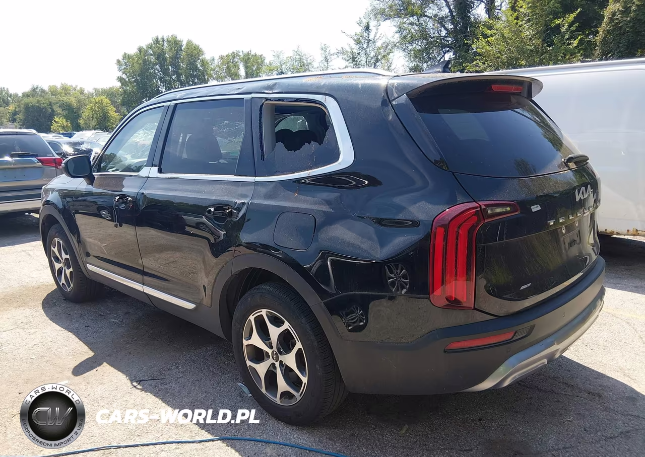 2022 Kia Telluride Ex VIN:5XYP34HC7NG252101 - 3