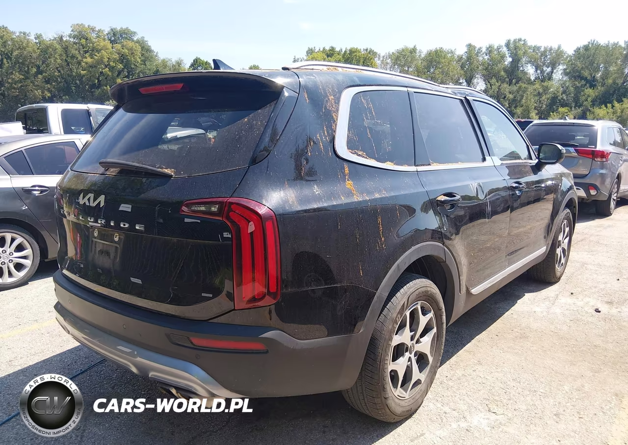 2022 Kia Telluride Ex VIN:5XYP34HC7NG252101 - 4