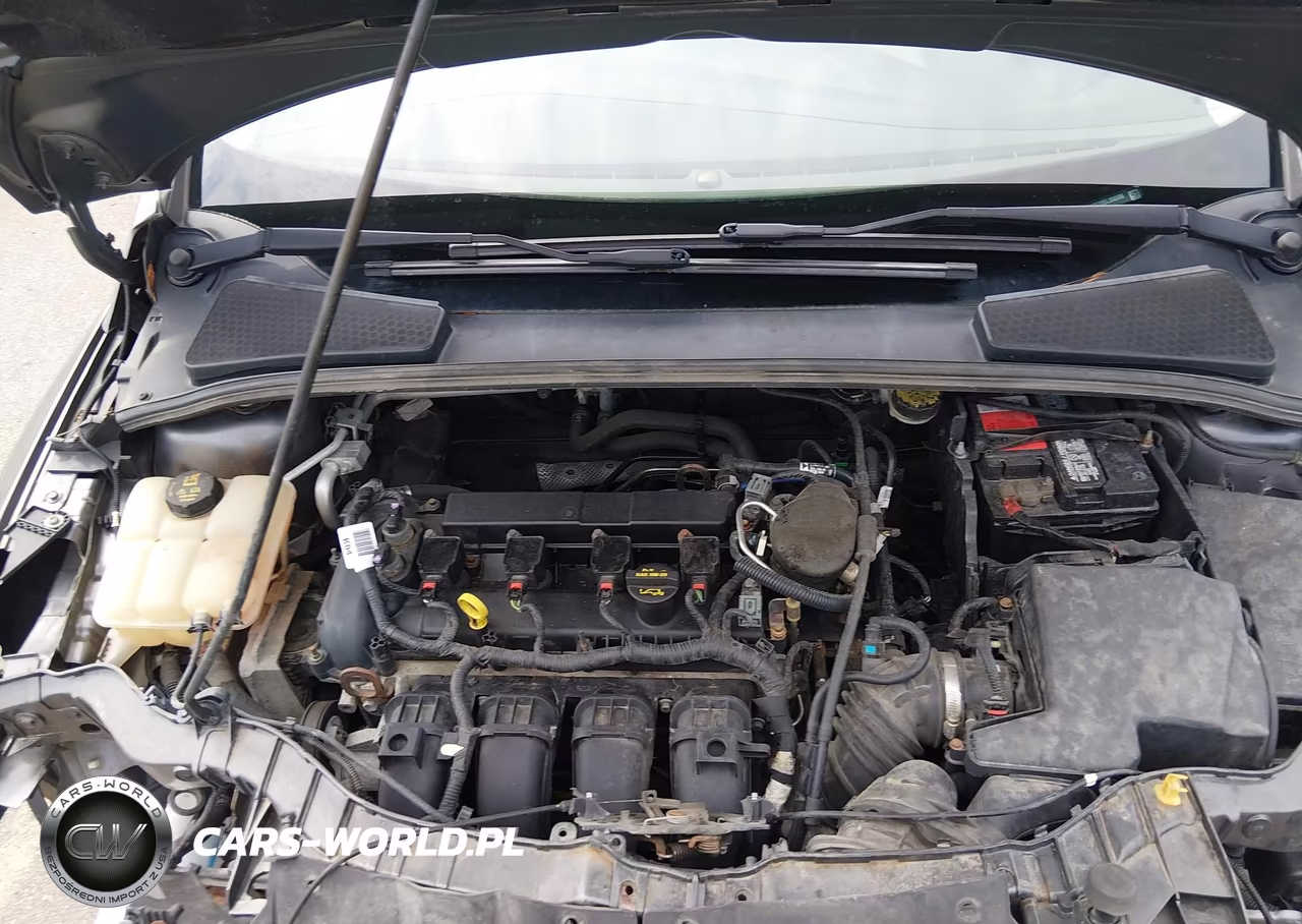 2014 Ford Focus Se VIN:1FADP3F22EL356596 - 10