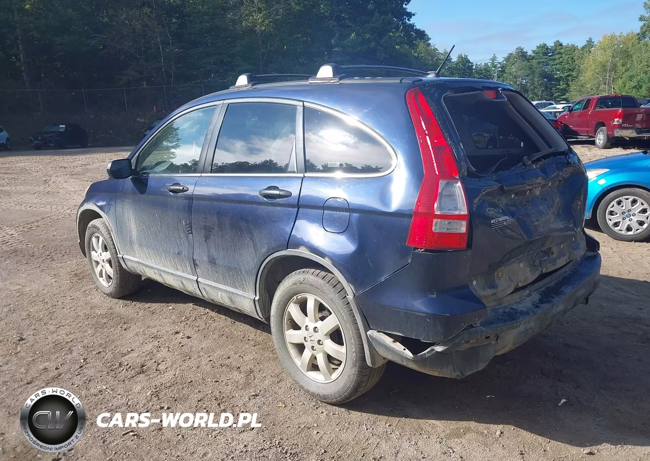 2007 Honda Cr-V Ex VIN:JHLRE48537C016155 - 3