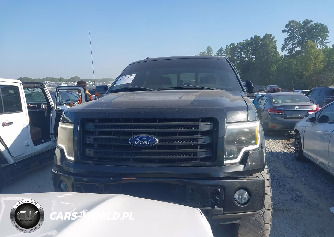 2014 Ford F-150 Fx4 VIN:1FTFW1EF5EFA01693 - 12
