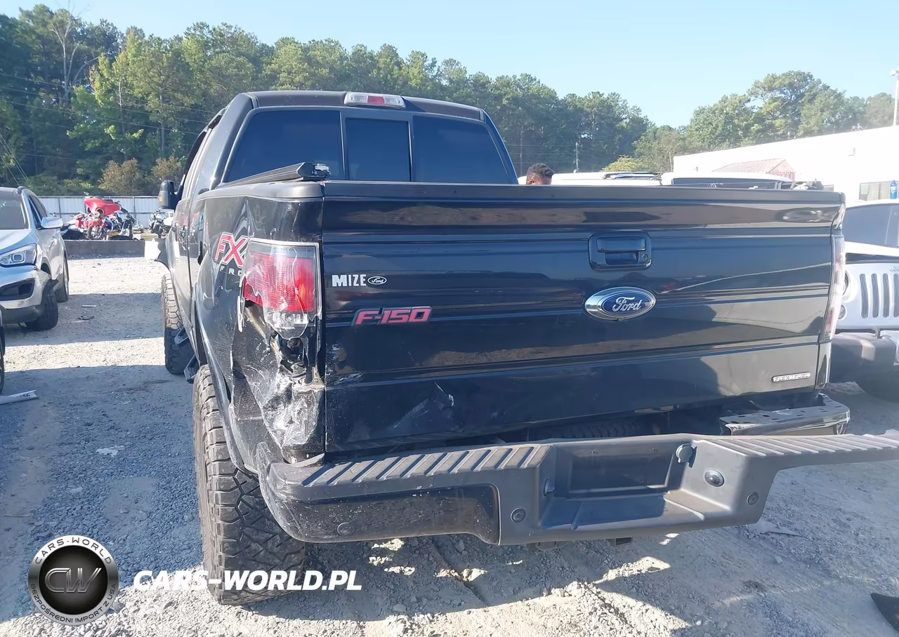 2014 Ford F-150 Fx4 VIN:1FTFW1EF5EFA01693 - 3
