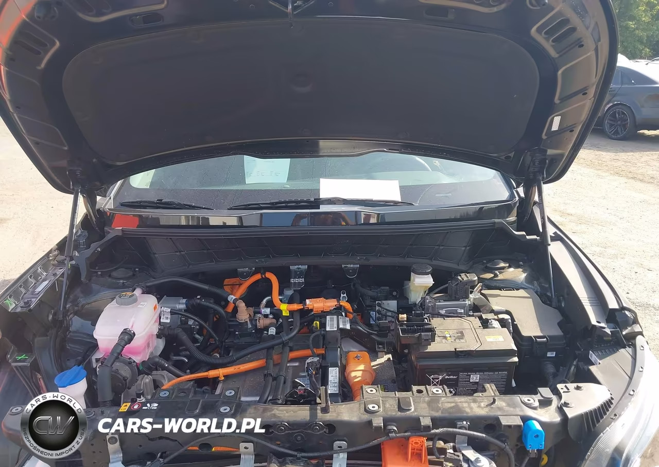 2024 Kia Niro Ev Wind VIN:KNDCR3L16R5091560 - 10