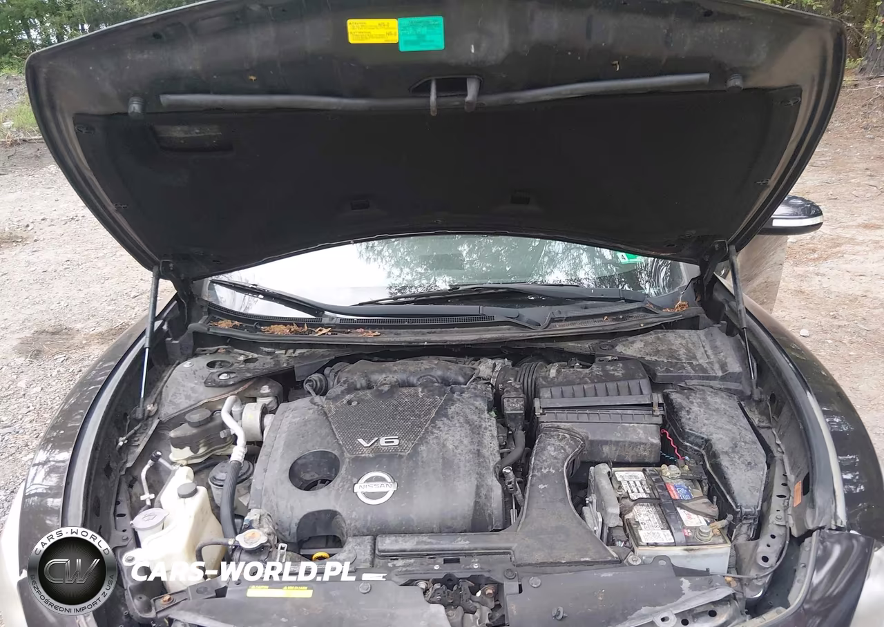 2014 Nissan Maxima 3.5 Sv VIN:1N4AA5AP9EC445150 - 10