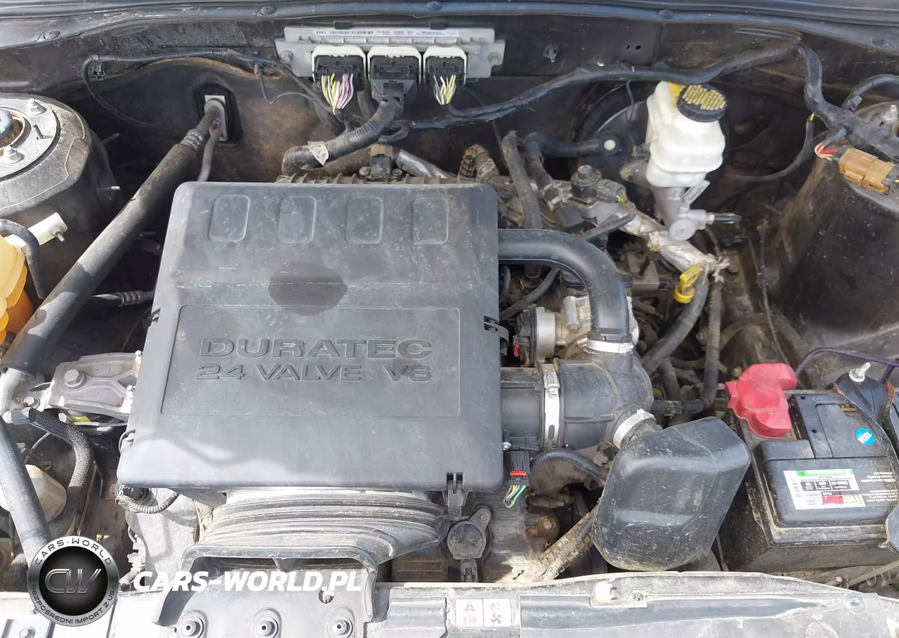 2009 Ford Escape Xlt VIN:1FMCU03G99KB70123 - 10