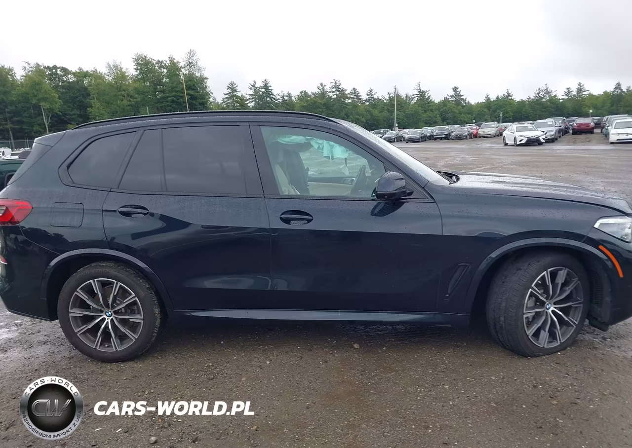 2019 BMW X5 xDrive40I VIN:5UXCR6C5XKLL38762 - 13