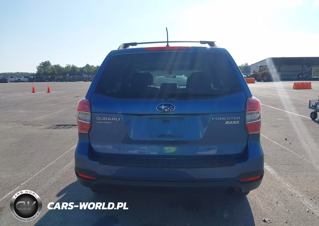 2015 Subaru Forester 2.5I Premium VIN:JF2SJADC3FH497007 - 16