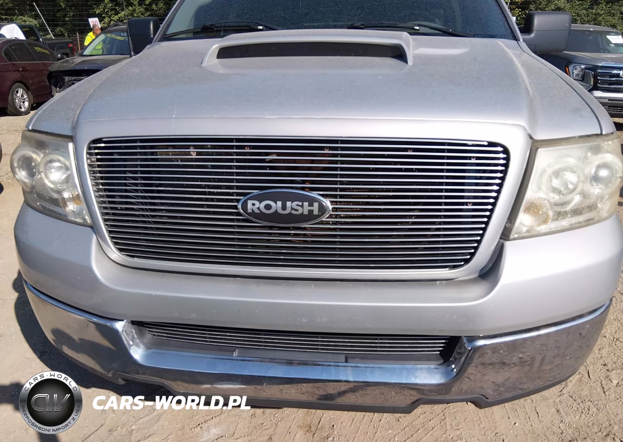 2005 Ford F-150 Xlt VIN:1FTPX025X5KE61317 - 6