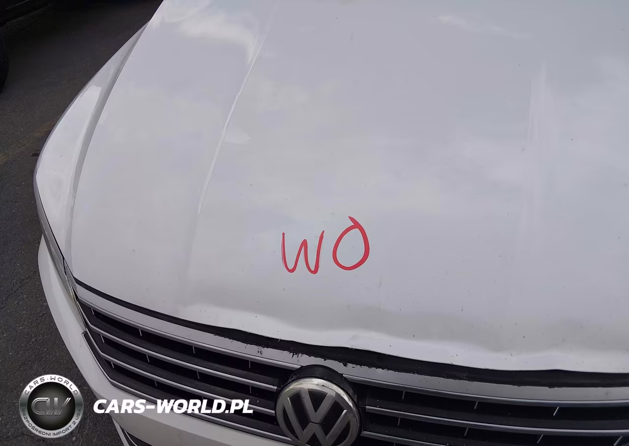 2017 Volkswagen Passat 1.8T Se VIN:1VWGT7A30HC057863 - 10