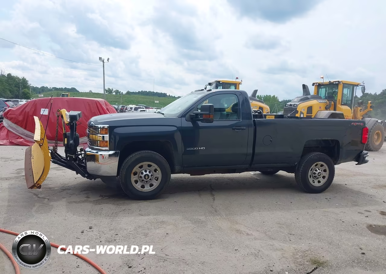 2017 Chevrolet Silverado 3500Hd Work Truck VIN:1GC3KYCG5HZ320002 - 18