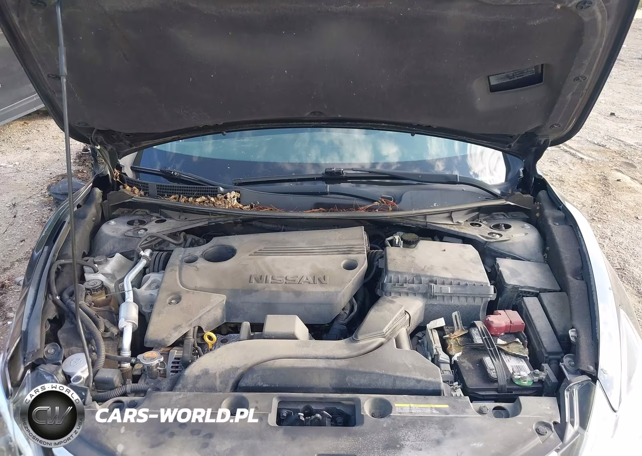 2016 Nissan Altima 2.5-2.5 S-2.5 Sl-2.5 Sr-2.5 Sv VIN:1N4AL3AP9GN318534 - 10