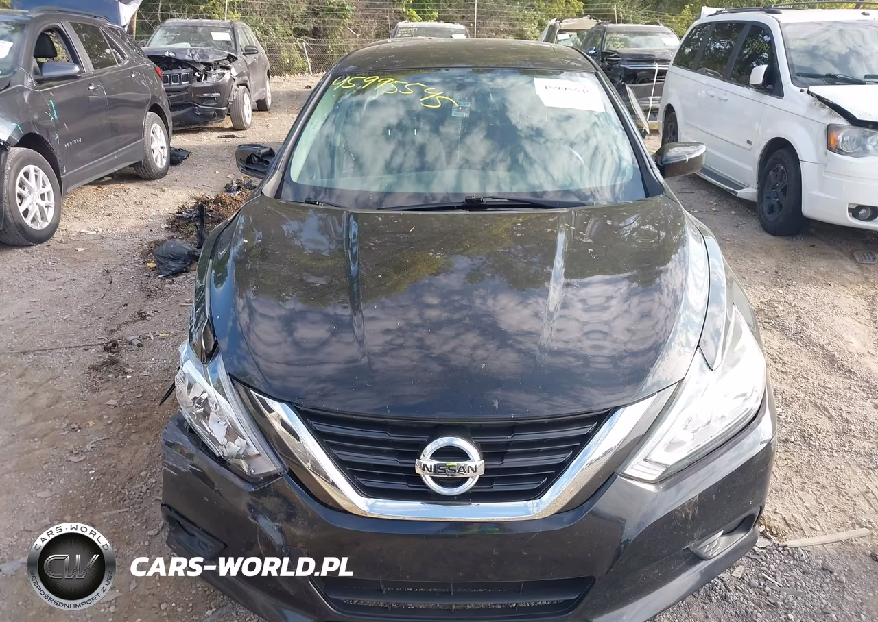 2016 Nissan Altima 2.5-2.5 S-2.5 Sl-2.5 Sr-2.5 Sv VIN:1N4AL3AP9GN318534 - 12
